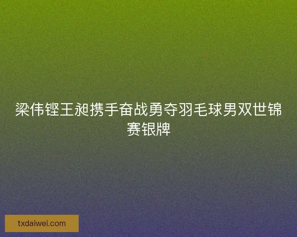 梁伟铿王昶携手奋战勇夺羽毛球男双世锦赛银牌
